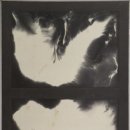 H1977 이미지