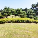 수성최씨시조묘 이미지
