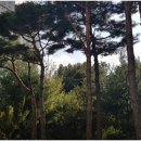 갤럭시부동산중개 이미지