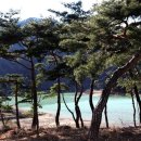 진안인삼사 - 진안군 진무로 1021 | 진안인삼사