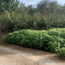 송천마을회관 이미지