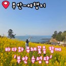 부안 4월 5월 여행지 변산 마실 3코스 수성당 적벽강 방문 후기 입장료 휠체어 유모차 애견동반 주차장