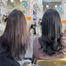 사랑방헤어샾 | 아산터미널미용실 다녀온 후기, 친절한 문자씨 미용실