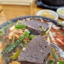 제주은희네해장국의왕포일점 이미지