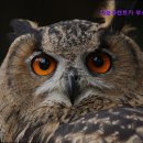 차놀자렌터카 이미지