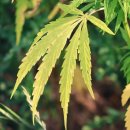 명심공인중개사사무소 이미지