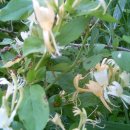 (주)인동 이미지