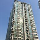 하단동117 이미지