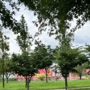 낙동강체육공원 관리사무소 이미지