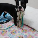 통진고등학교 이미지