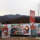 윤기농장2 네이버블로그