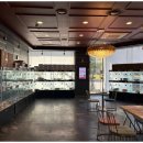 고양이입양소 이미지