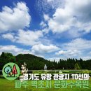 경기도 유망 관광지 10선의 파주 벽초지 문화수목원 이미지