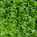 금산농원 이미지