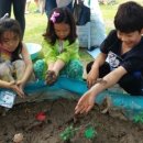 자연안에어린이집 이미지