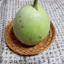 박*국 - 미추홀구 낙섬중로 102 | 박*국