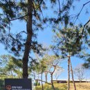 논현고잔로 168번길 이미지