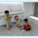 꼬마대통형 Daum카페