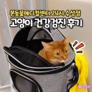 대구무지개센터 | 대구수성구동물병원 본동물메디컬센터24시수성점 고양이 심장 건강검진 후기