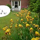 아이리스민박 이미지