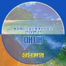단지내에이스공인중개사사무소 | 용화에이스공인중개사사무소 신창면 전 매매 2억 3,000