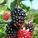 산청스토아 이미지