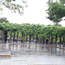 원평공원 이미지