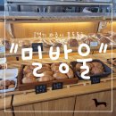밀방울