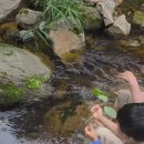 하윤한국260708(수) 석남사2 이미지