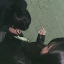 선돌밧데리 네이버블로그