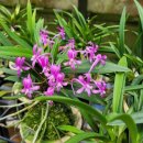 연신농장 이미지