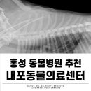 내포동물의료센터 이미지