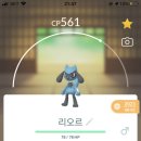 리오르