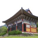 주자묘 Daum카페