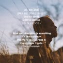 태장청학복싱&무에타이 이미지