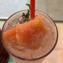 하이댕스 | 레드빛 감성 애견 동반 문정역 카페 리틀비터