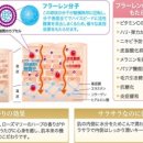 슈퍼바우 이미지