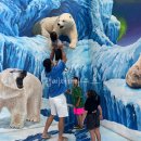 경천한우 이미지