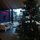 펫그루밍바이순 이미지