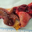 장유송영상의학과의원 이미지