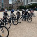 고양초등학교 이미지