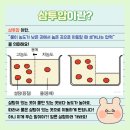 소담누리