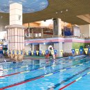 로하스파 이미지