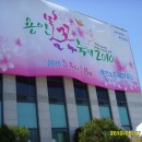 2010 용인 봄꽃 축제 이미지