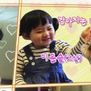 땡큐마이독