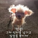와카롱