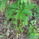 자인농협 하나로마트 이미지