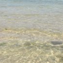 하도리 보통날 이미지