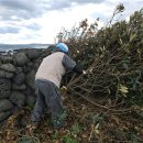 행원환해장성 이미지