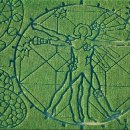 장식농장 이미지